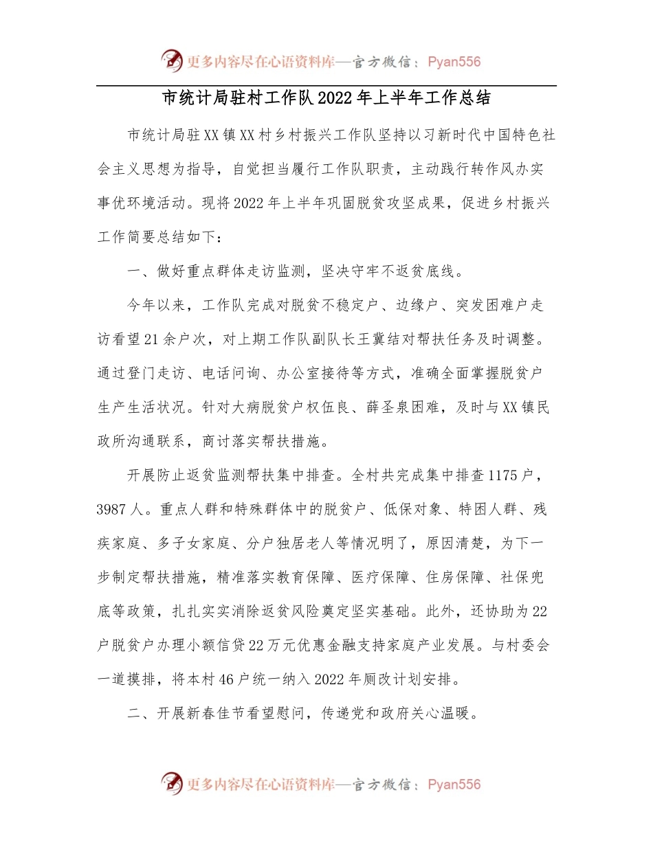 市统计局驻村工作队2022年上半年工作总结[2].docx_第1页