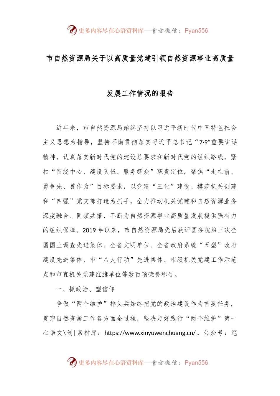 市自然资源局关于以高质量党建引领自然资源事业高质量发展工作情况的报告.docx_第1页