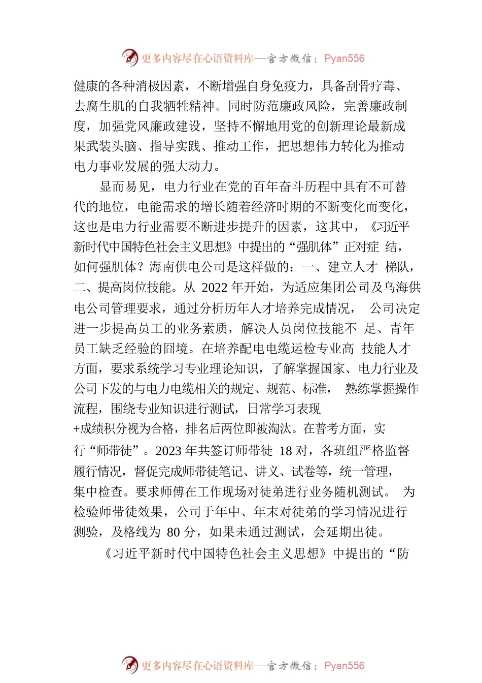 强健电力肌体 防范电力风险（20230810）.docx_第2页