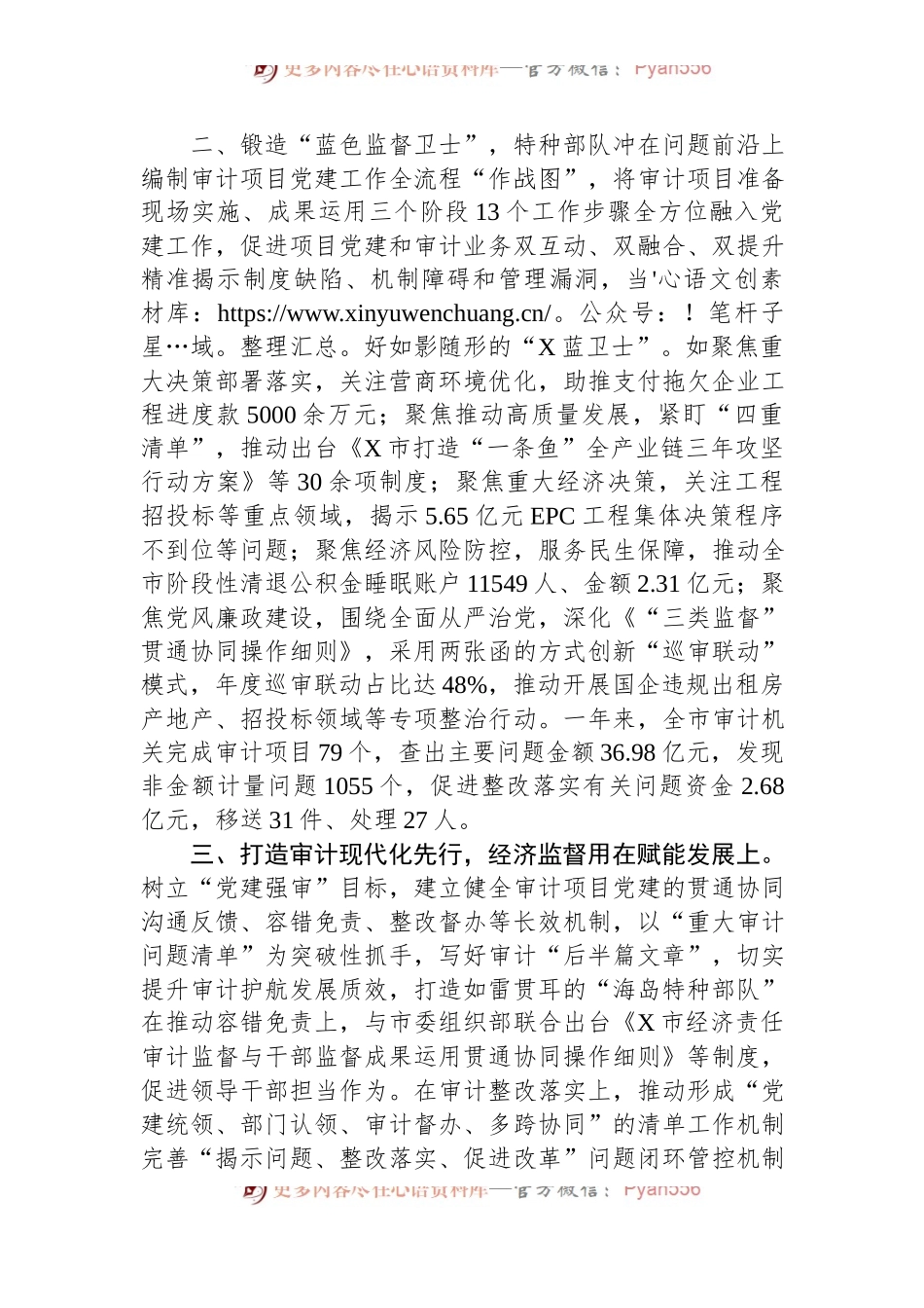 市审计局党建品牌工作经验交流发言.docx_第2页