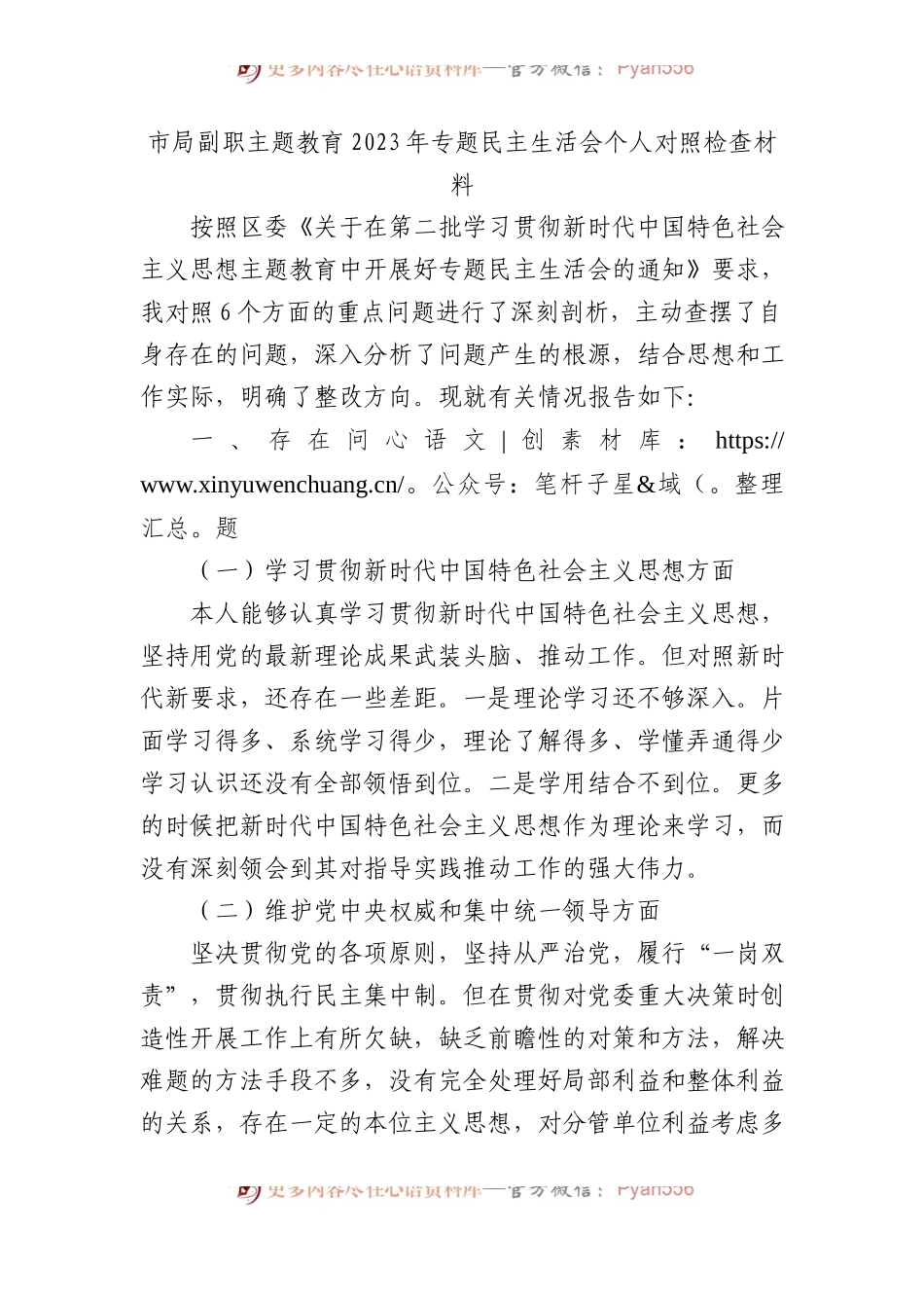 市局副职主题教育2023年专题民主生活会个人对照检查材料 (2).docx_第1页