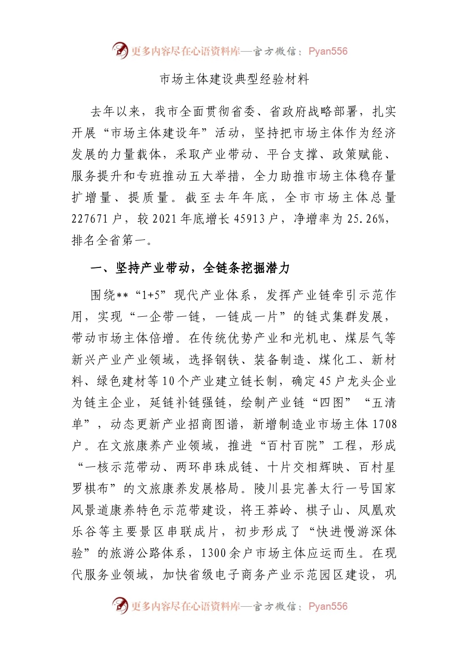 市场主体建设典型经验材料.docx_第1页