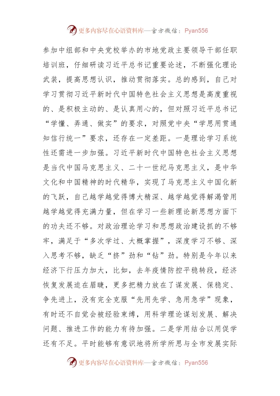 市长主题教育专题民主生活会对照检查材料（6方面＋政绩观）.docx_第2页