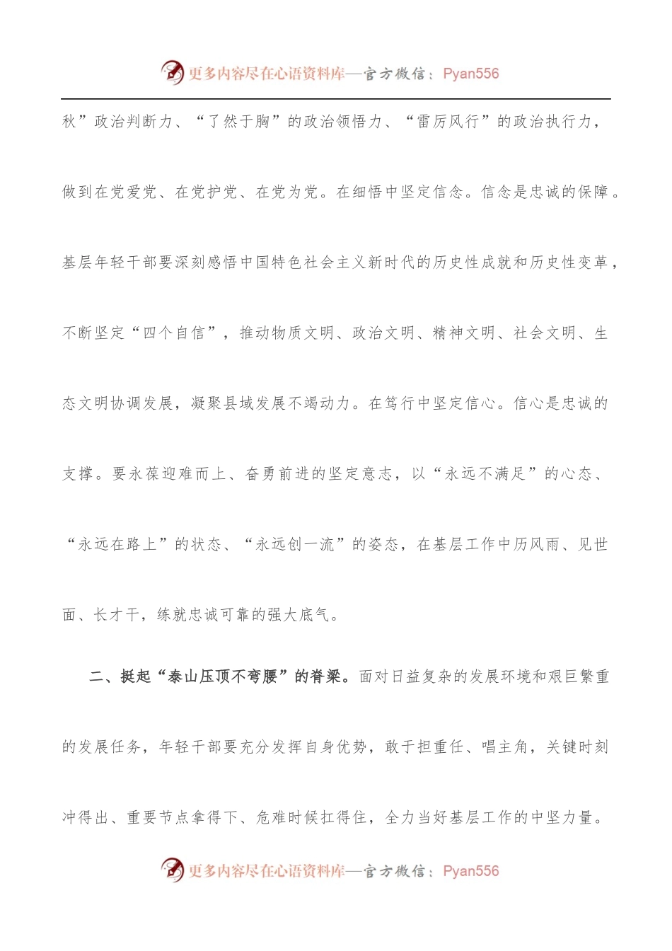 年轻干部座谈会发言提纲[县长].docx_第2页