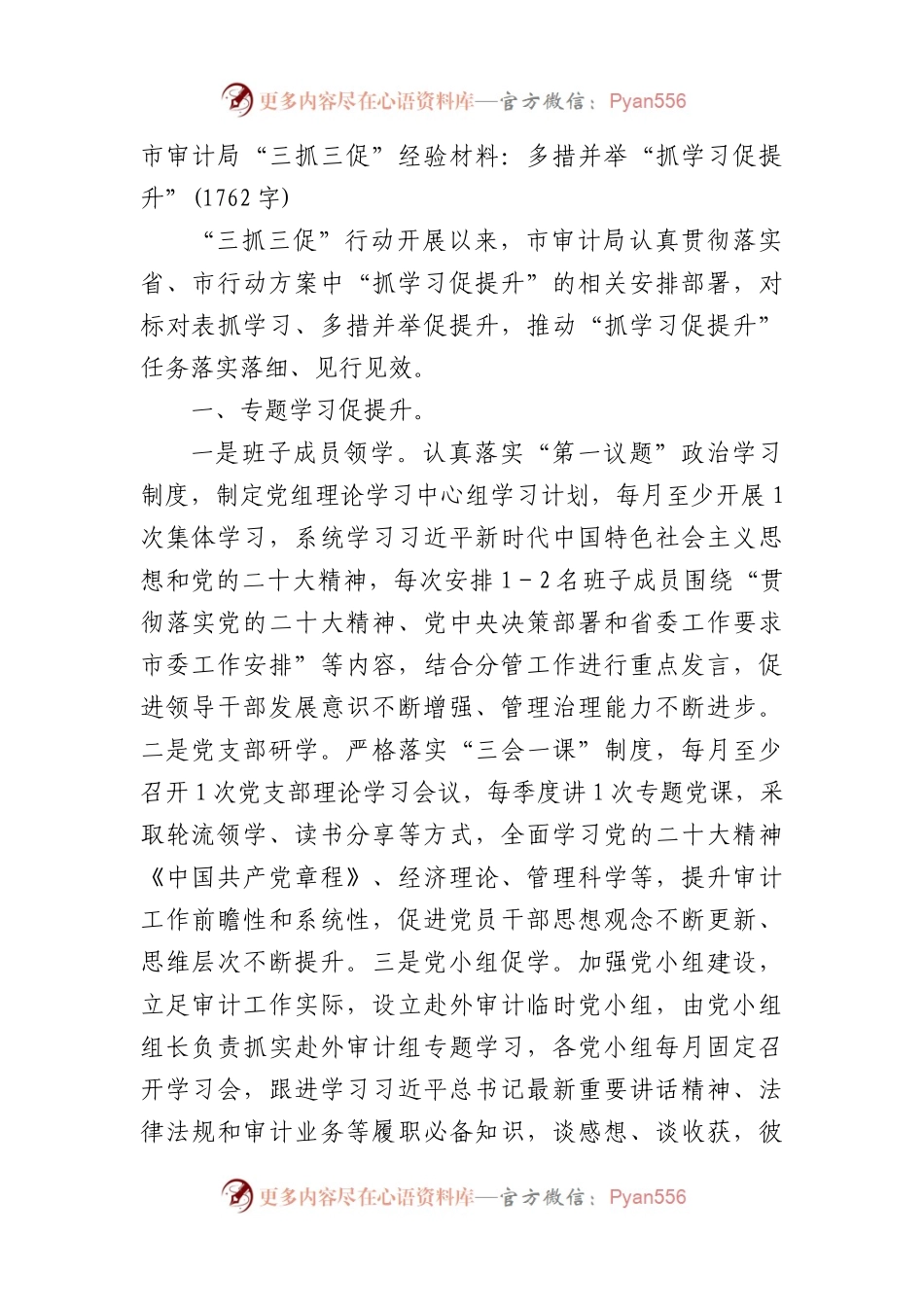 市审计局“三抓三促”经验材料.docx_第1页