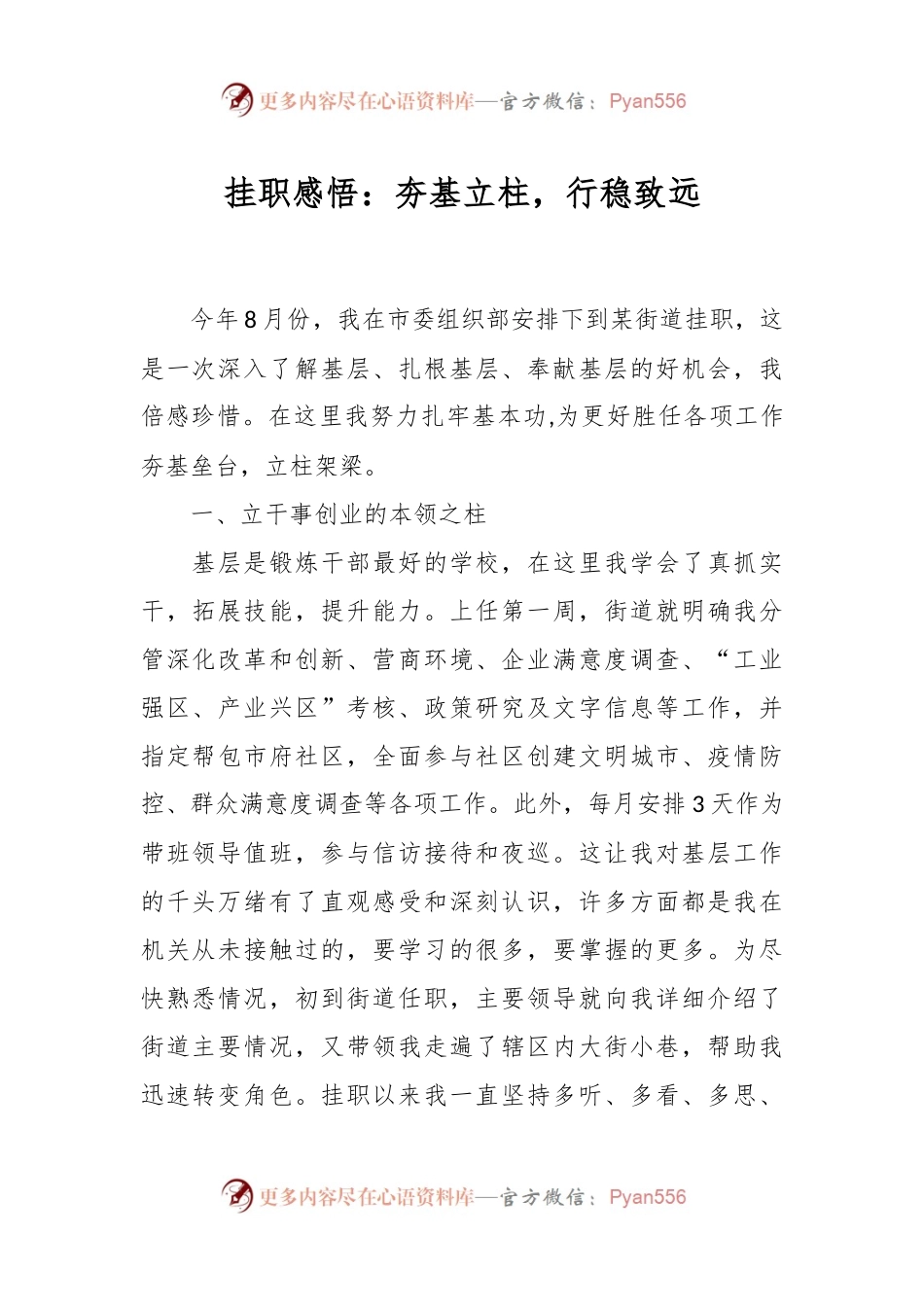 挂职感悟：夯基立柱，行稳致远.docx_第1页