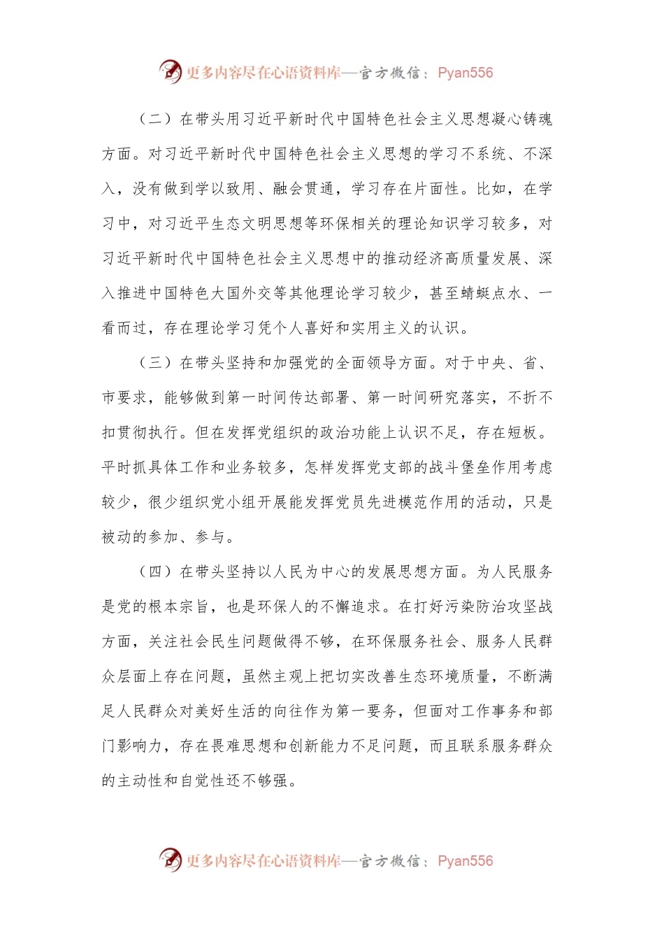 市生态环境局党组书记、局长2022年度民主生活会“六个带头”对照检查材料.docx_第2页