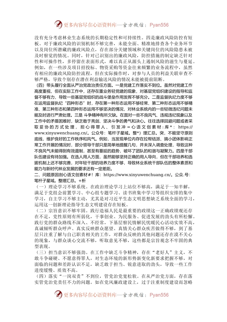 市直单位领导干部2024年度专题民主生活会对照检查发言材料（四个带头）.docx_第2页