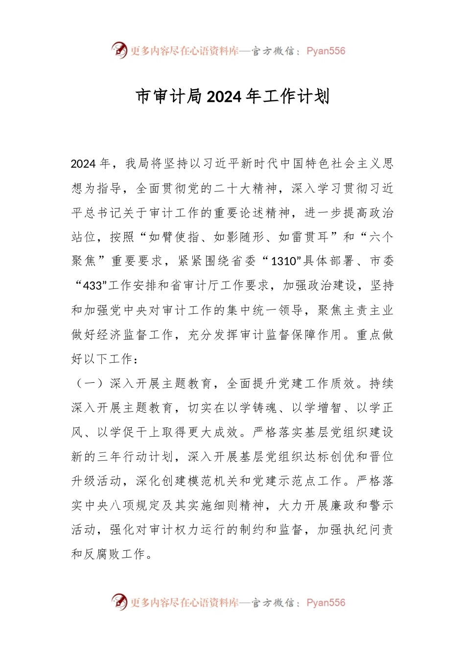 市审计局2024年工作计划.docx_第1页