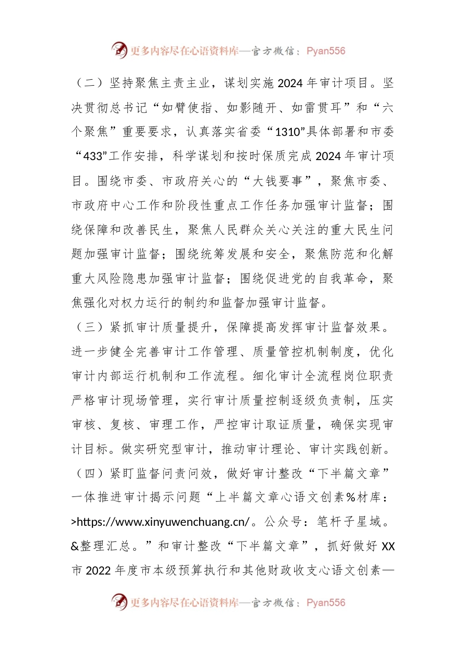 市审计局2024年工作计划.docx_第2页