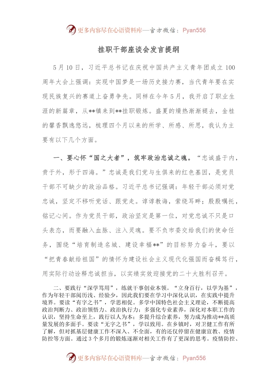 挂职干部座谈会发言提纲.docx_第1页
