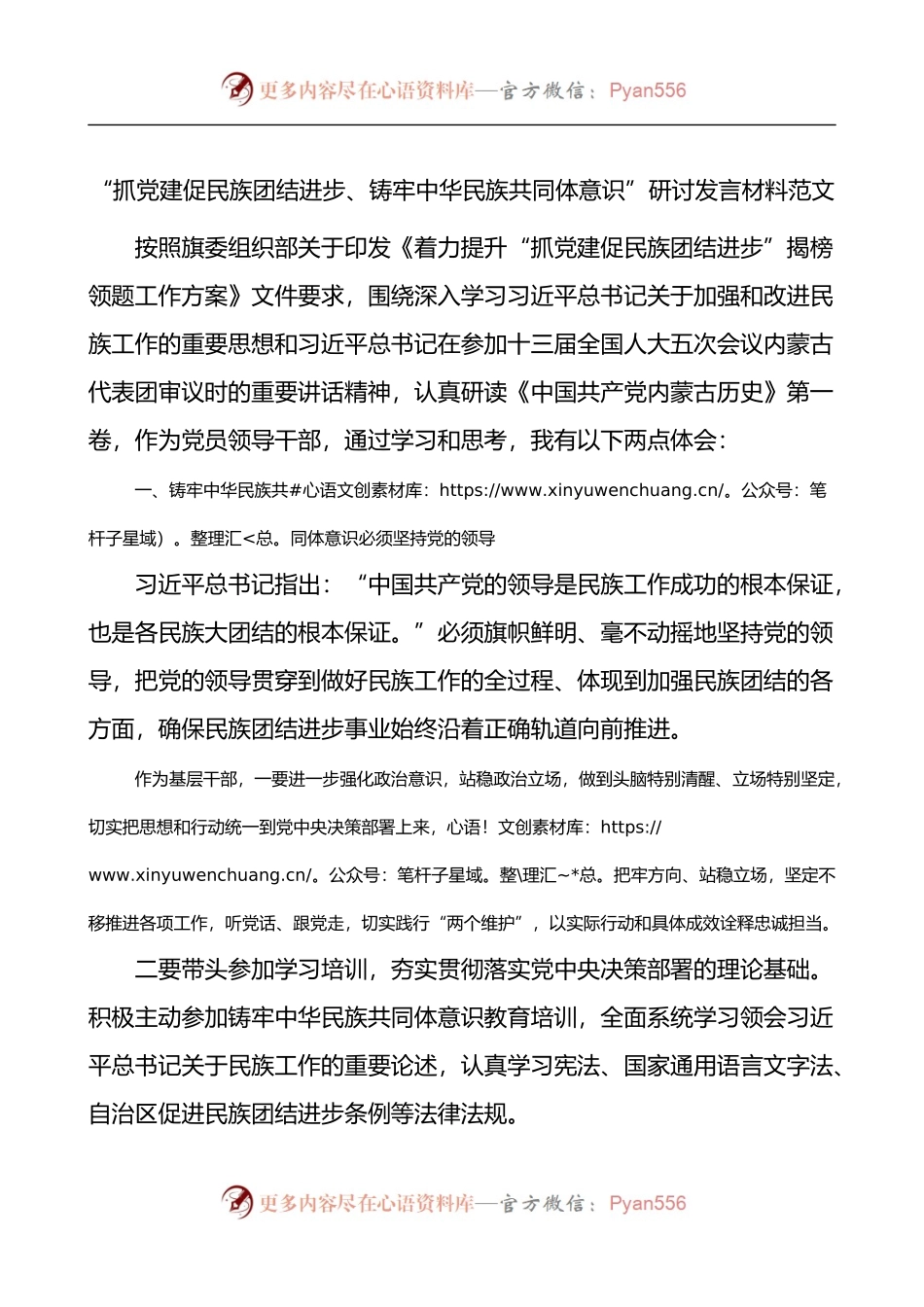 抓党建促民族团结进步铸牢中华民族共同体意识研讨发言材料.docx_第1页