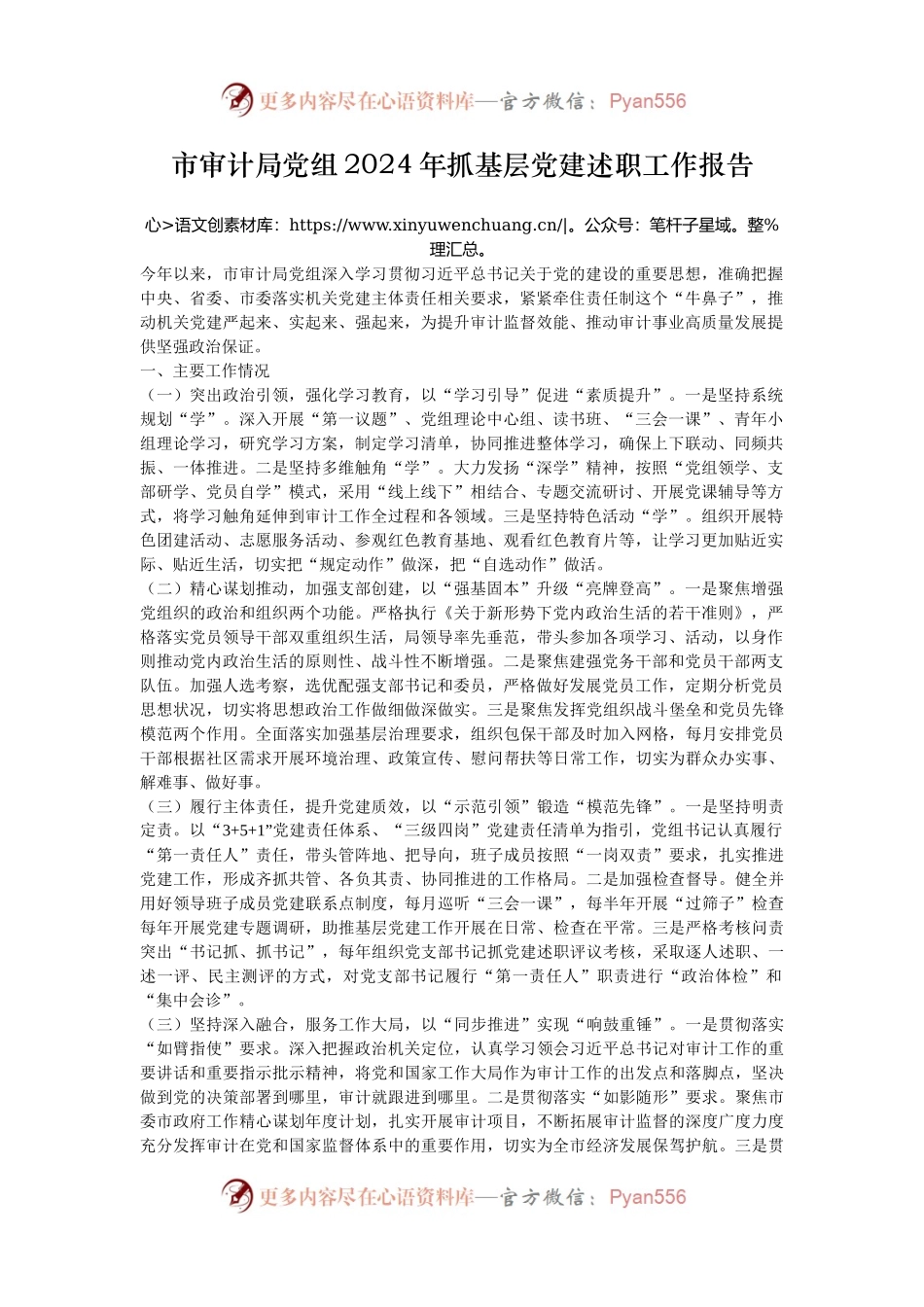 市审计局党组2024年抓基层党建述职工作报告.docx_第1页