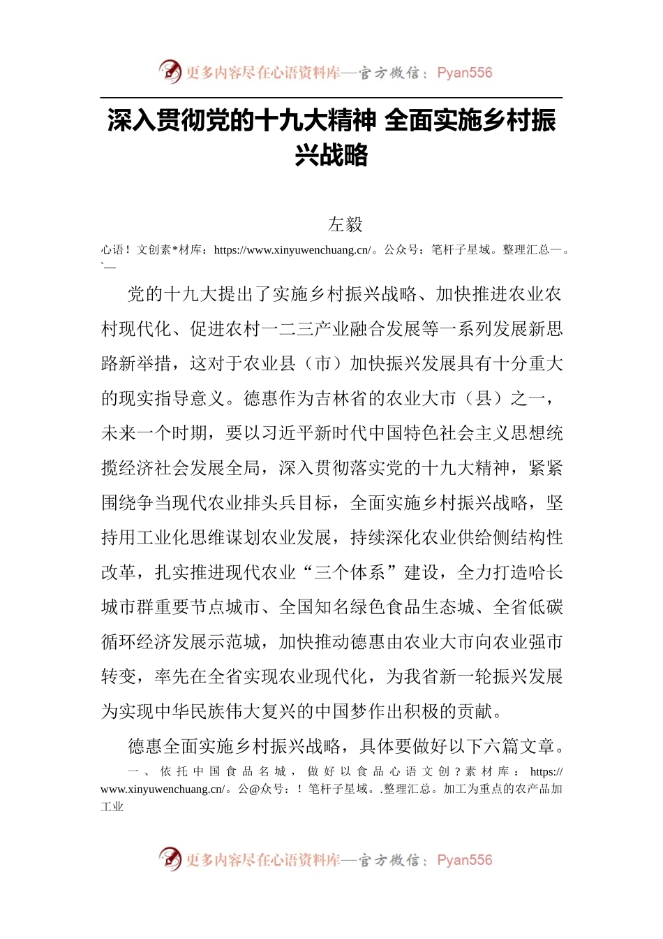德惠市委书记深入贯彻党的十九大精神 全面实施乡村振兴战略.docx_第1页