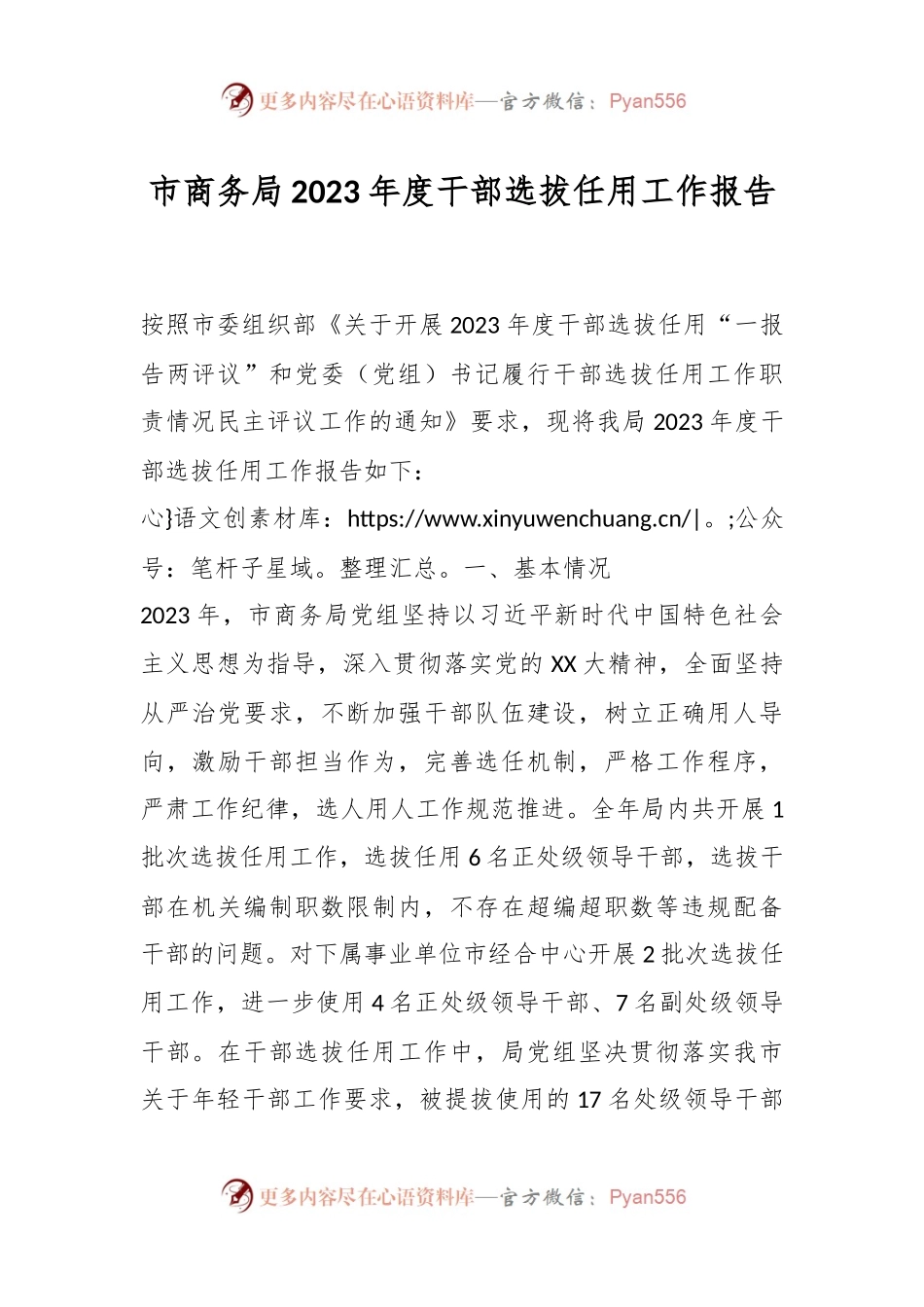 市商务局2023年度干部选拔任用工作报告.docx_第1页