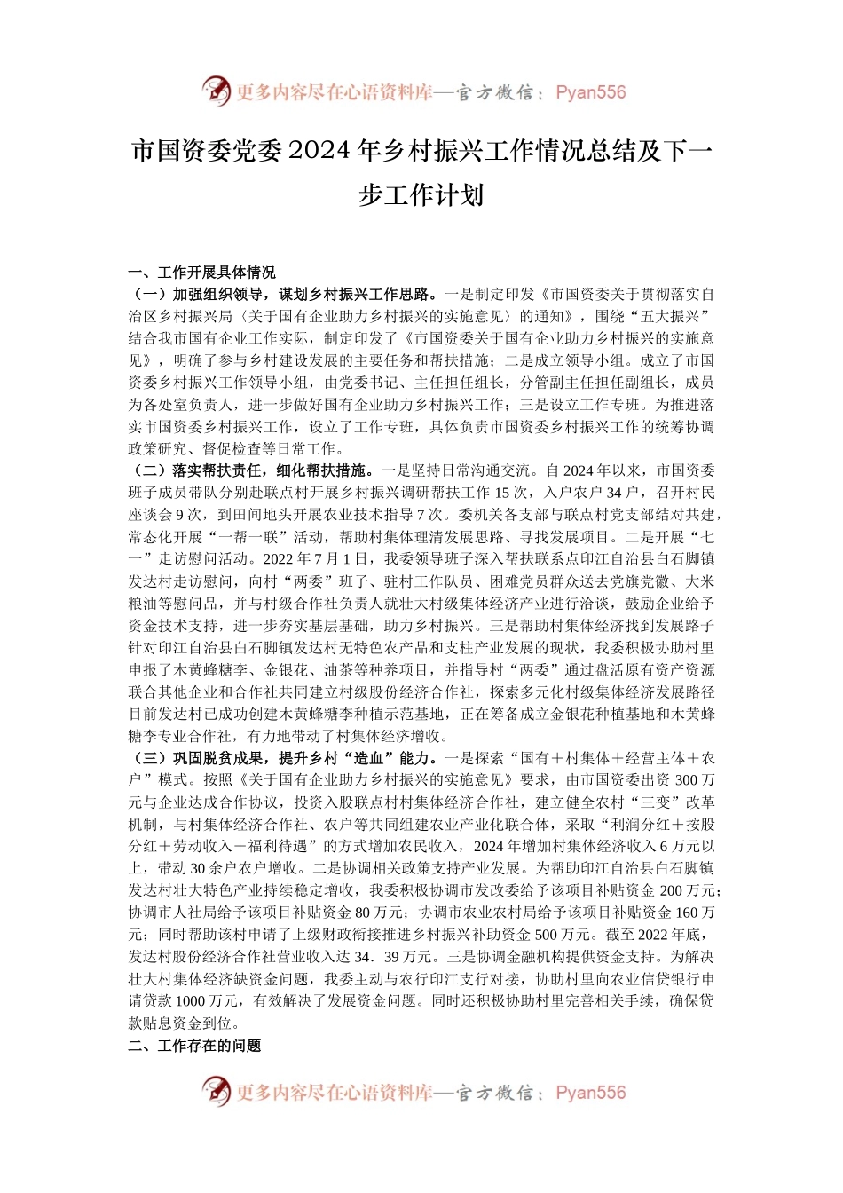 市国资委党委2024年乡村振兴工作情况总结及下一步工作计划.docx_第1页