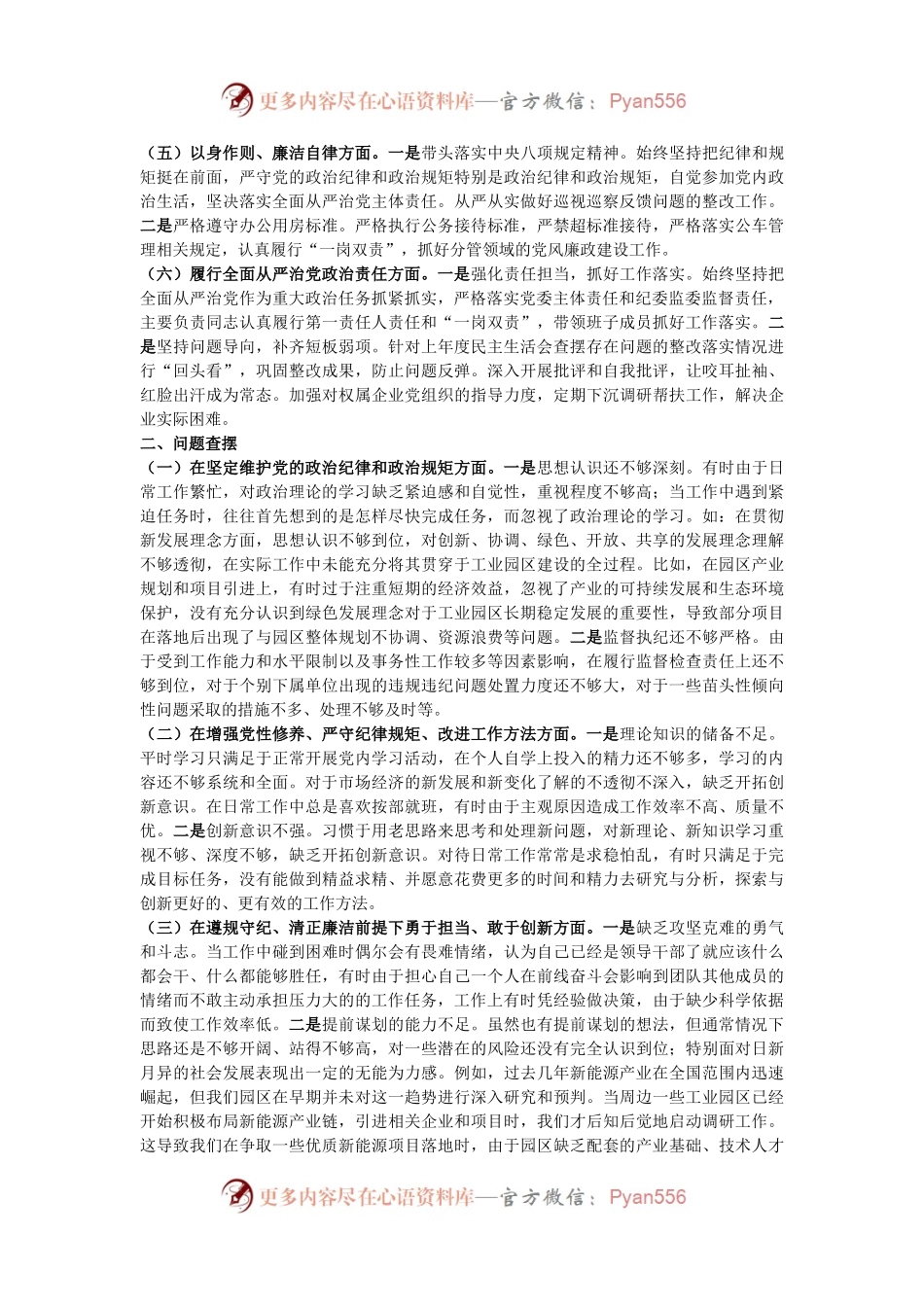 市工业园区党工委书记2024年民主生活会个人对照检查发言材料（四个带头）.docx_第2页