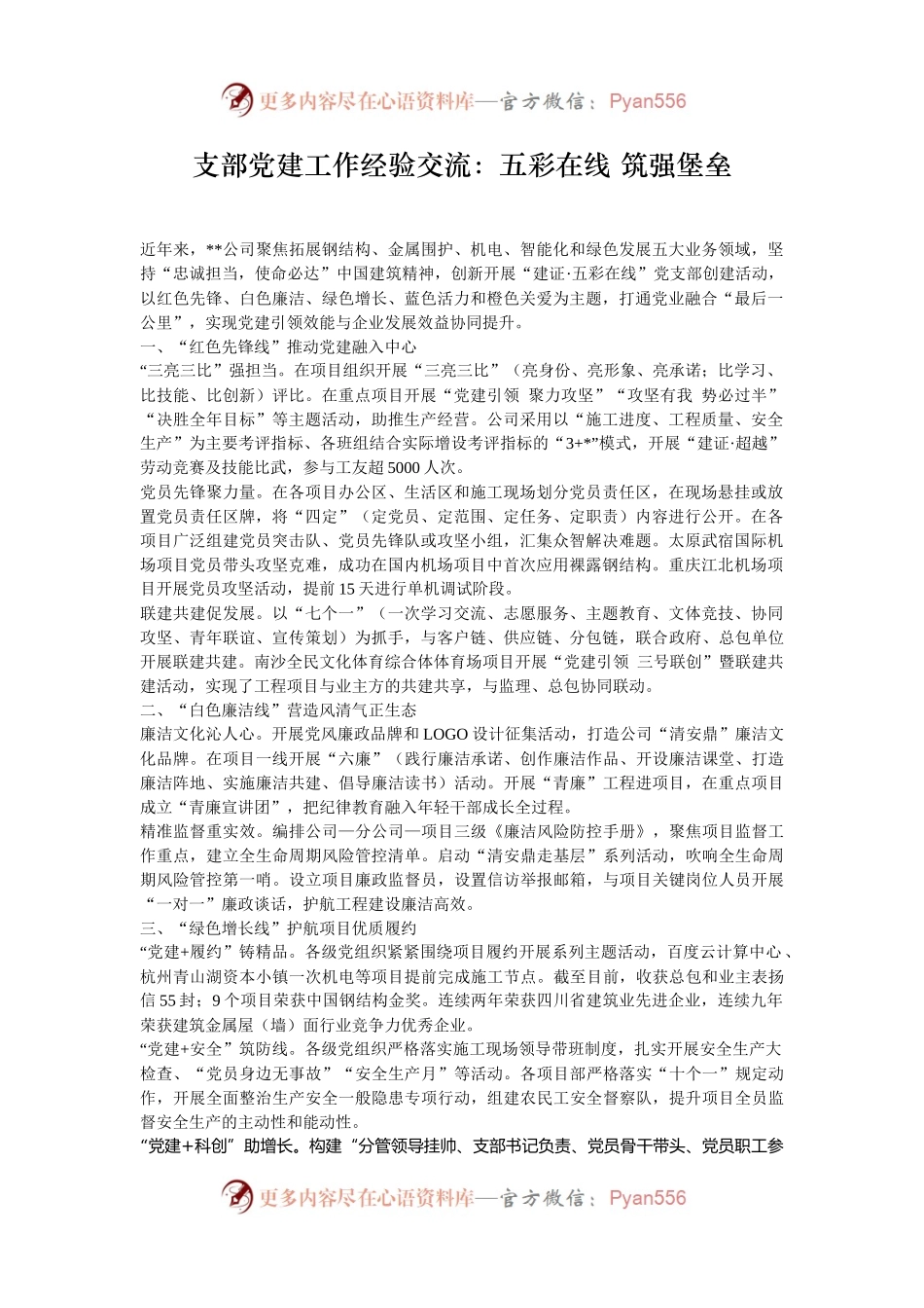 支部党建工作经验交流：五彩在线 筑强堡垒.docx_第1页