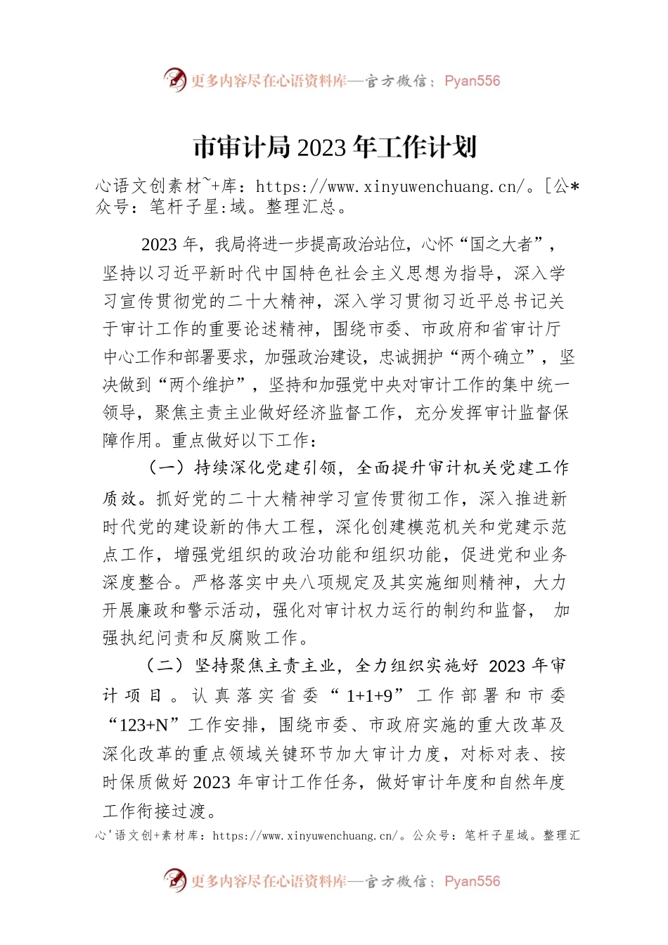 市审计局2023年工作计划.docx_第1页