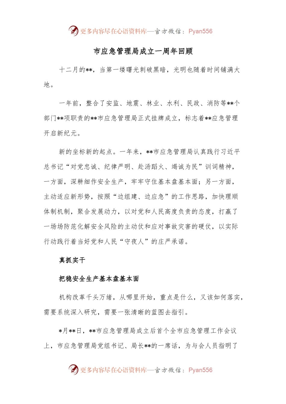 市应急管理局成立一周年回顾.docx_第1页