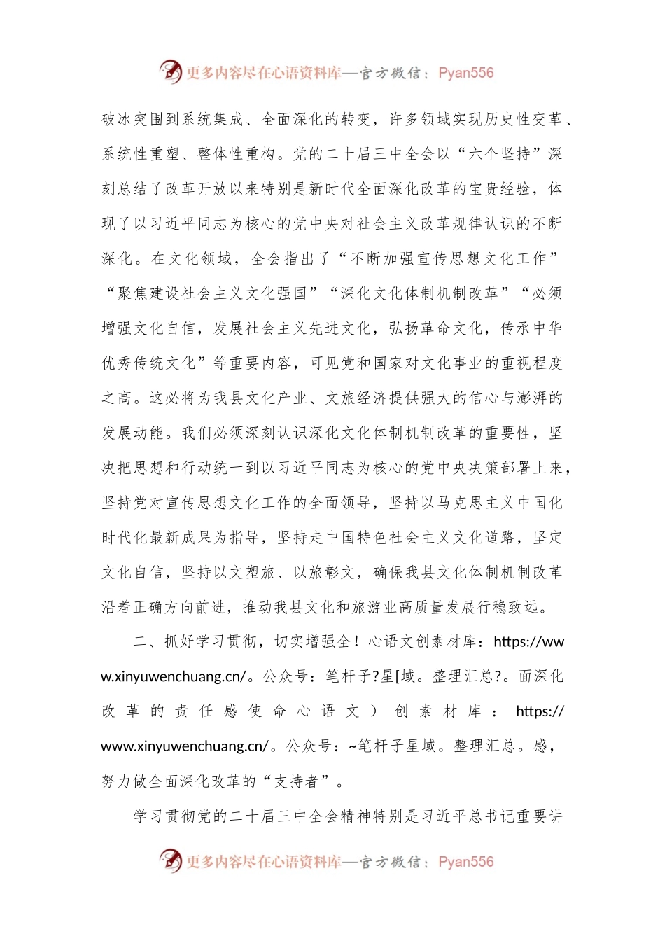 文旅局党员干部理论学习中心组学习会议上学习贯彻党的二十届三中全会精神研讨发言材料.docx_第2页