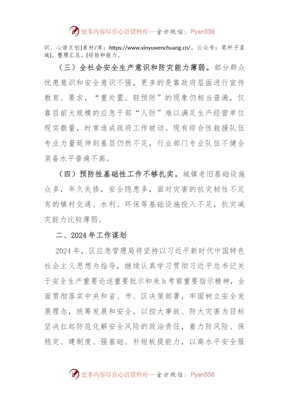 应急管理局局长在全区务虚工作会议上的发言稿.docx_第2页