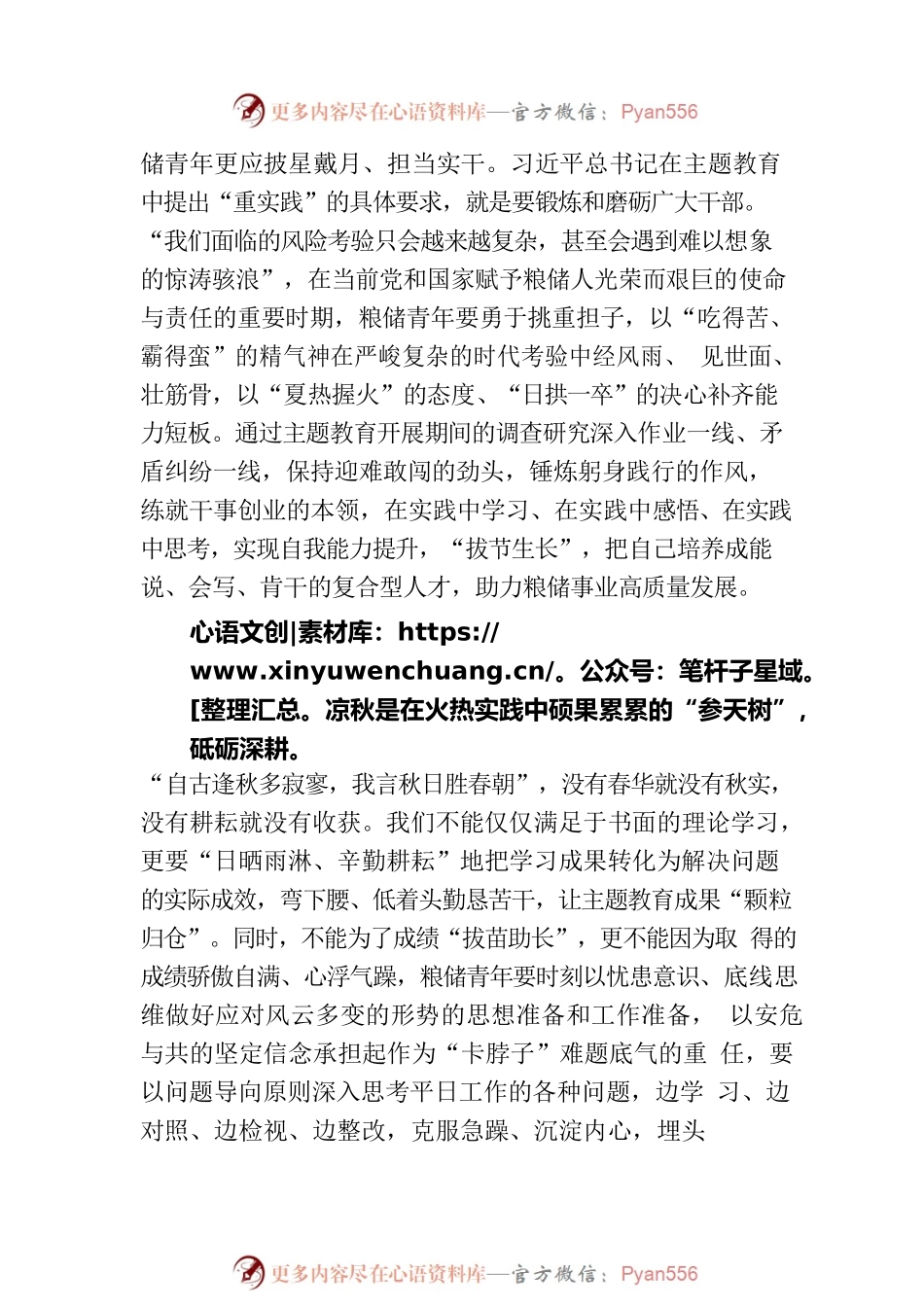 座谈发言：努力在粮食和物资储备高质量发展实践中绽放青春风采.docx_第2页