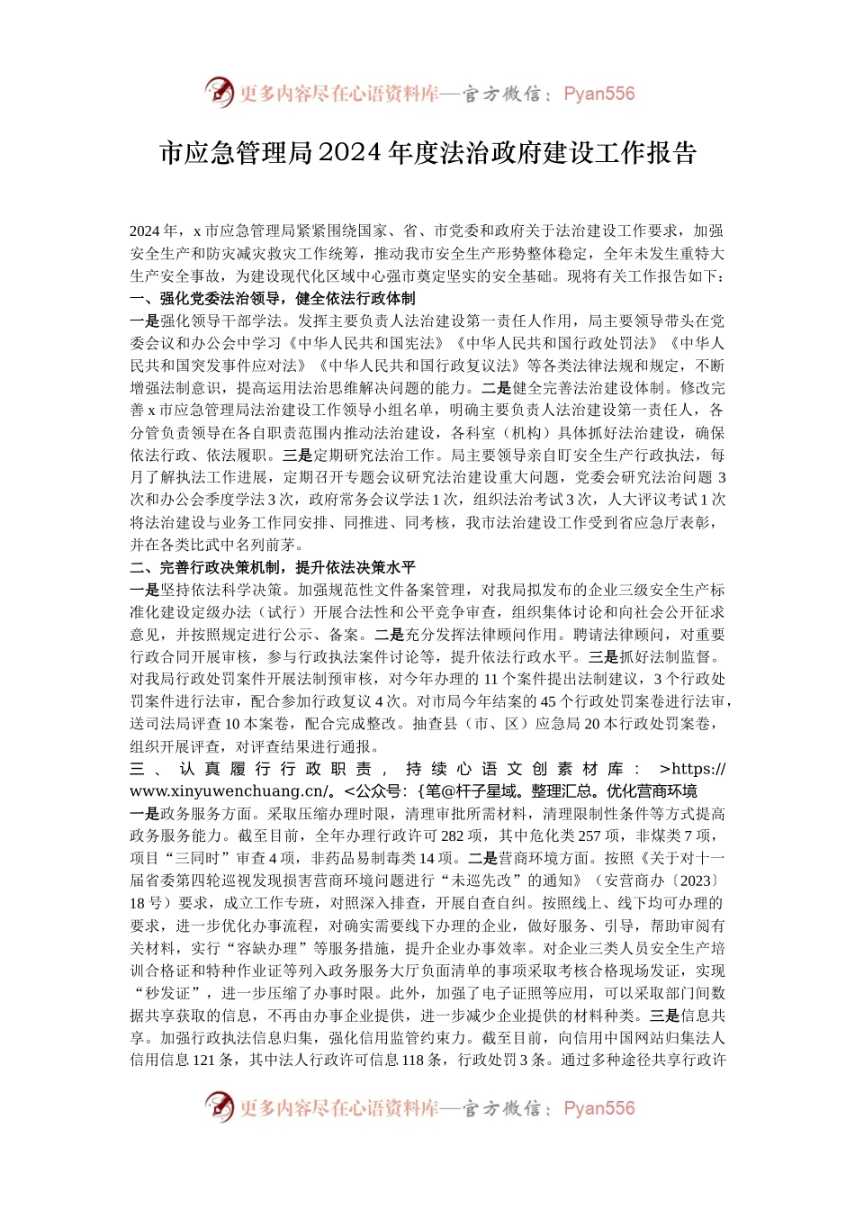 市应急管理局2024年度法治政府建设工作报告.docx_第1页