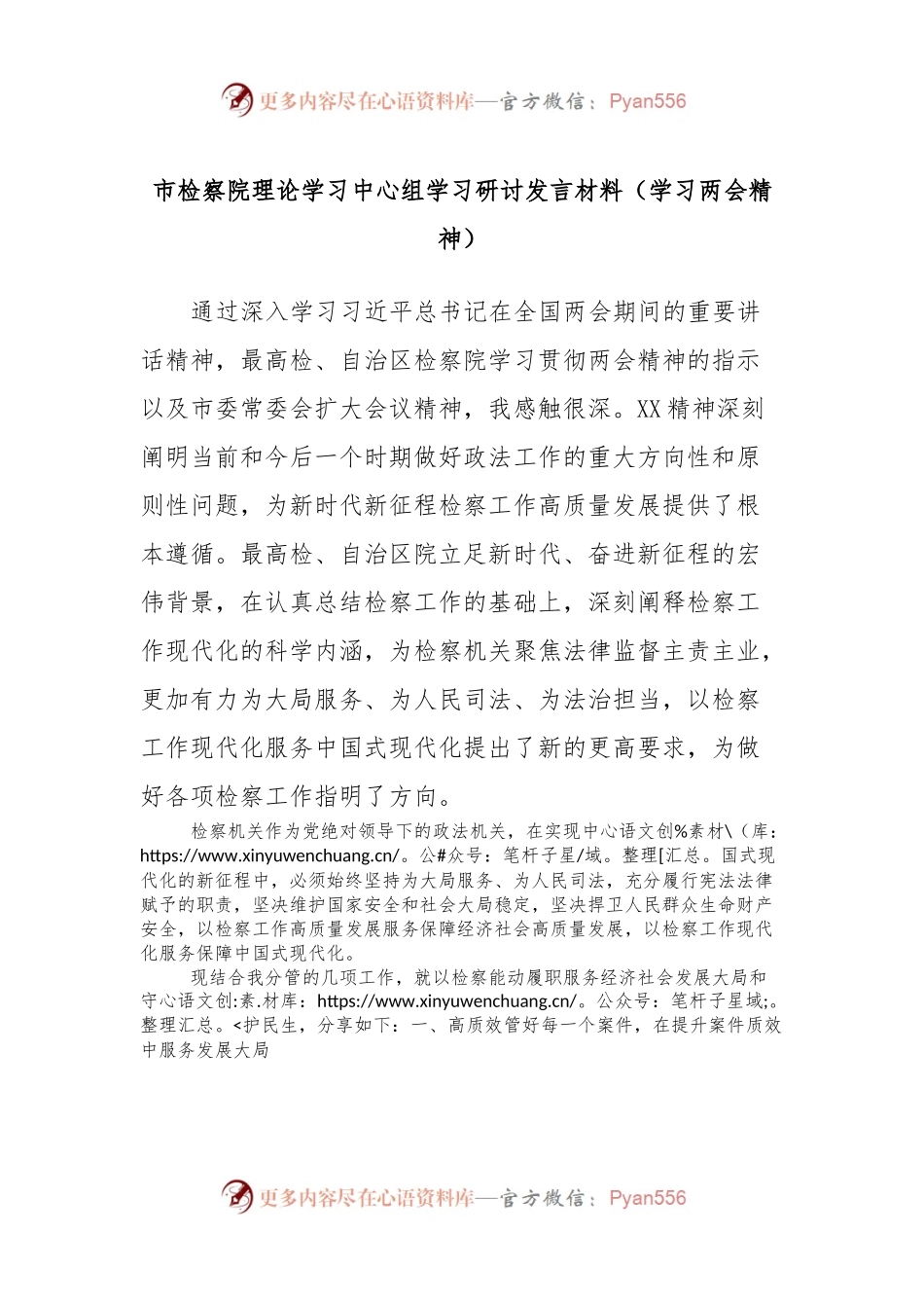 市检察院理论学习中心组学习研讨发言材料（学习两会精神）.docx_第1页
