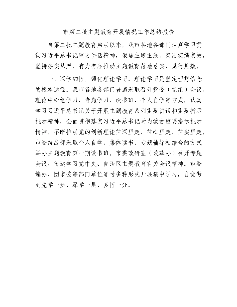 市第二批主题教育开展情况工作总结报告.docx_第1页