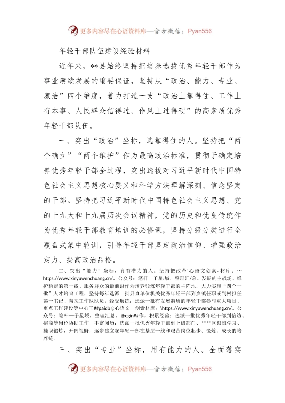 年轻干部队伍建设经验材料.docx_第1页