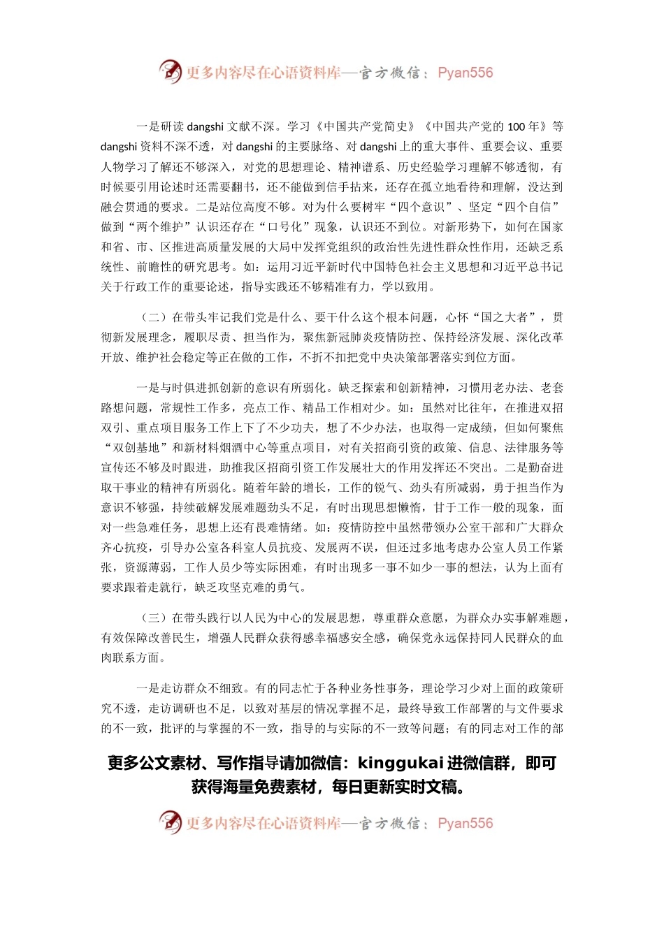 投资促进局局长党史i学习教育专题民主生活会“五个带头”对照检查材料.docx_第2页