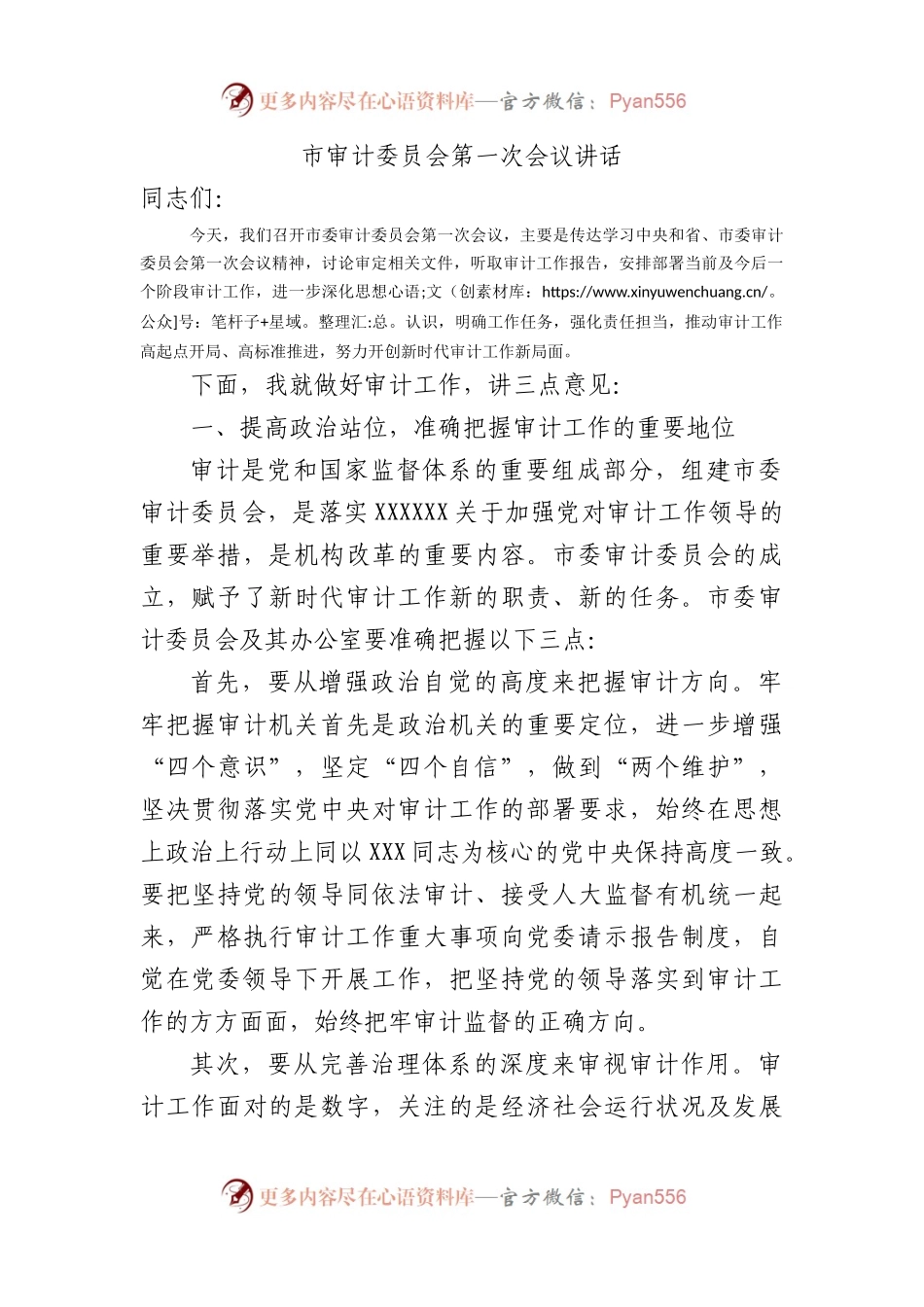 市审计委员会第一次会议讲话.docx_第1页
