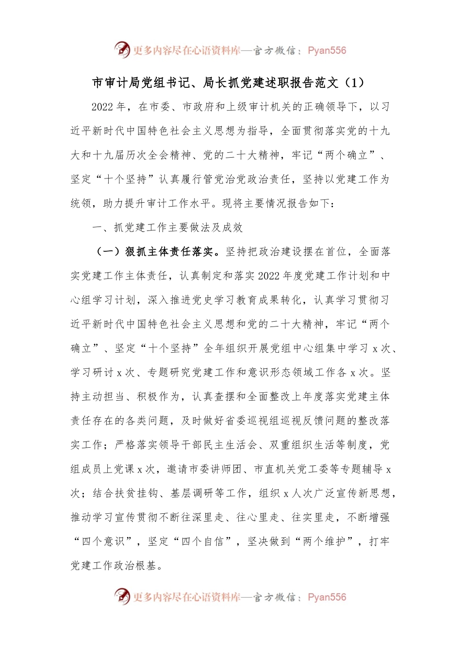 市审计局党组书记、局长抓党建述职报告范文（1）.docx_第1页