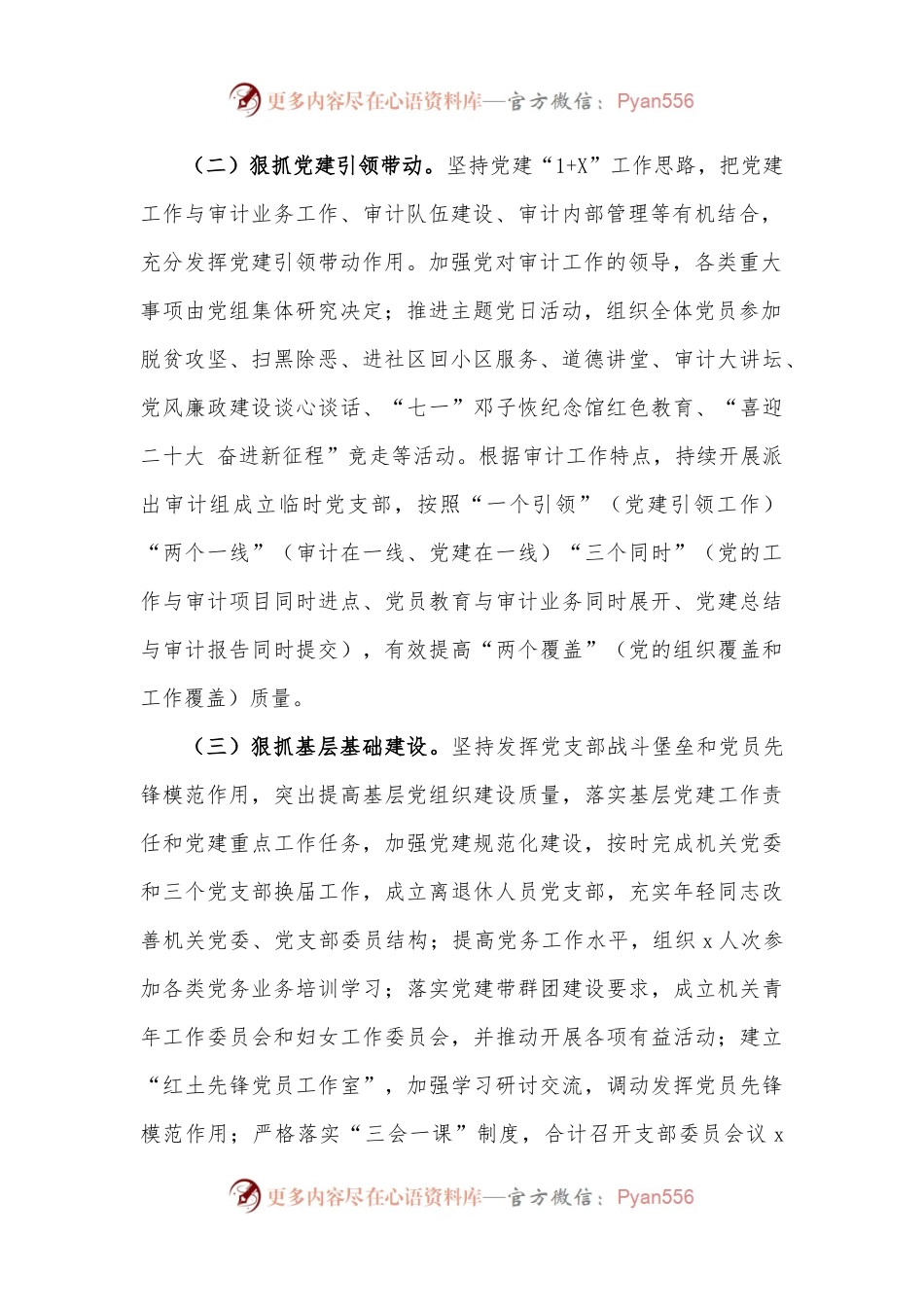 市审计局党组书记、局长抓党建述职报告范文（1）.docx_第2页