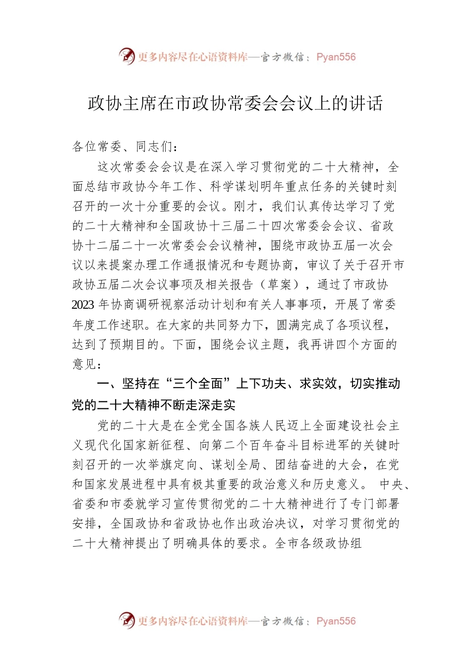 政协主席在市政协常委会会议上的讲话0.docx_第1页