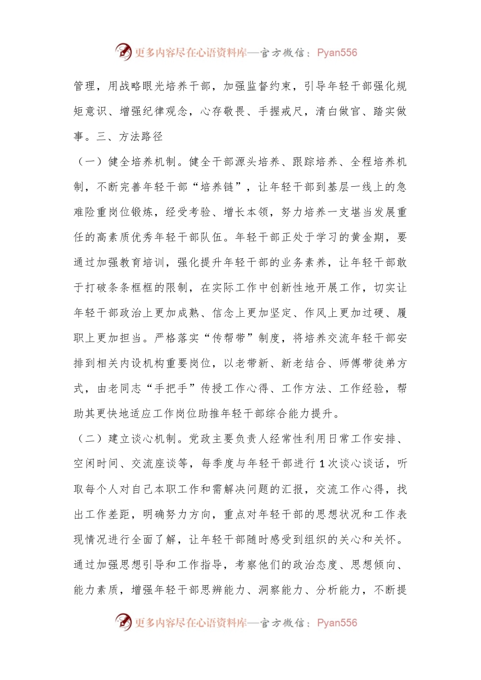 年轻干部培养计划的实施方案.docx_第2页