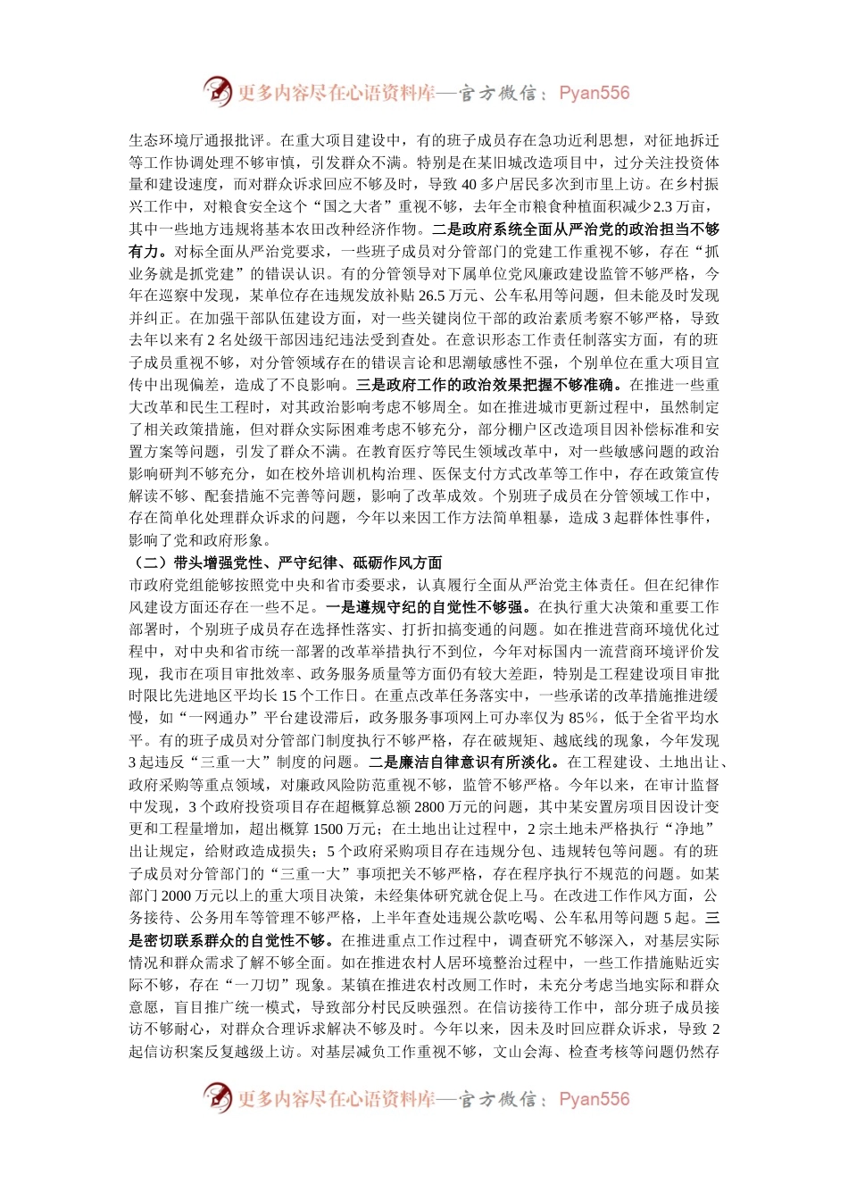 市政府党组2024年民主生活会班子对照检查材料（四个带头）.docx_第2页