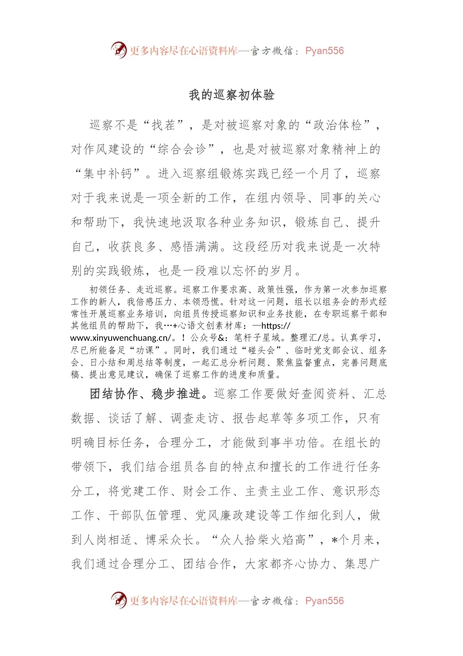 我的巡察初体验.docx_第1页