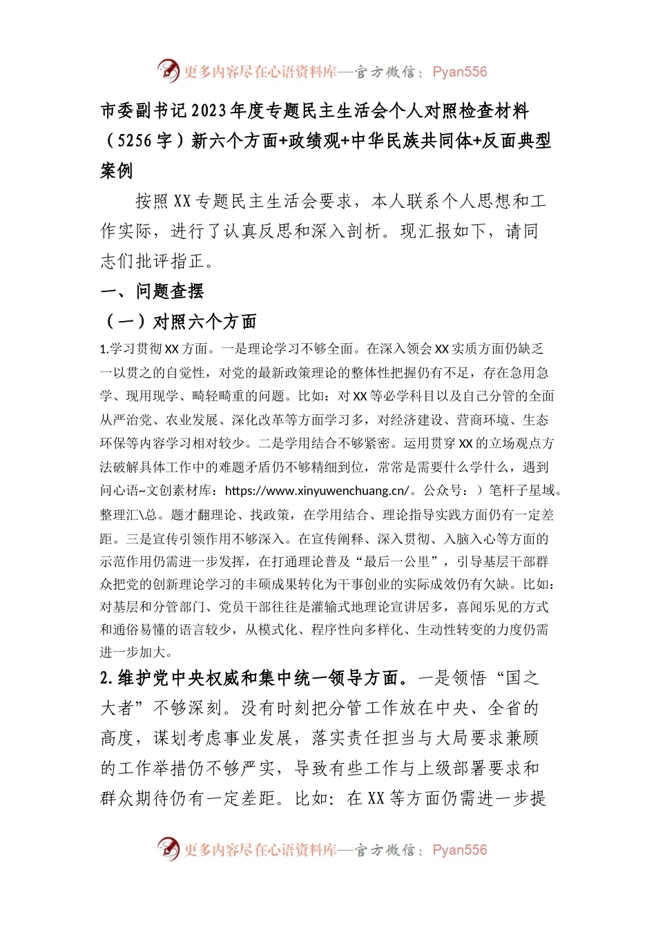市委副书记2023年度专题民主生活会个人对照检查材料（践行宗旨等6个方面+政绩观+中华民族共同体+反面典型案例）.docx_第1页
