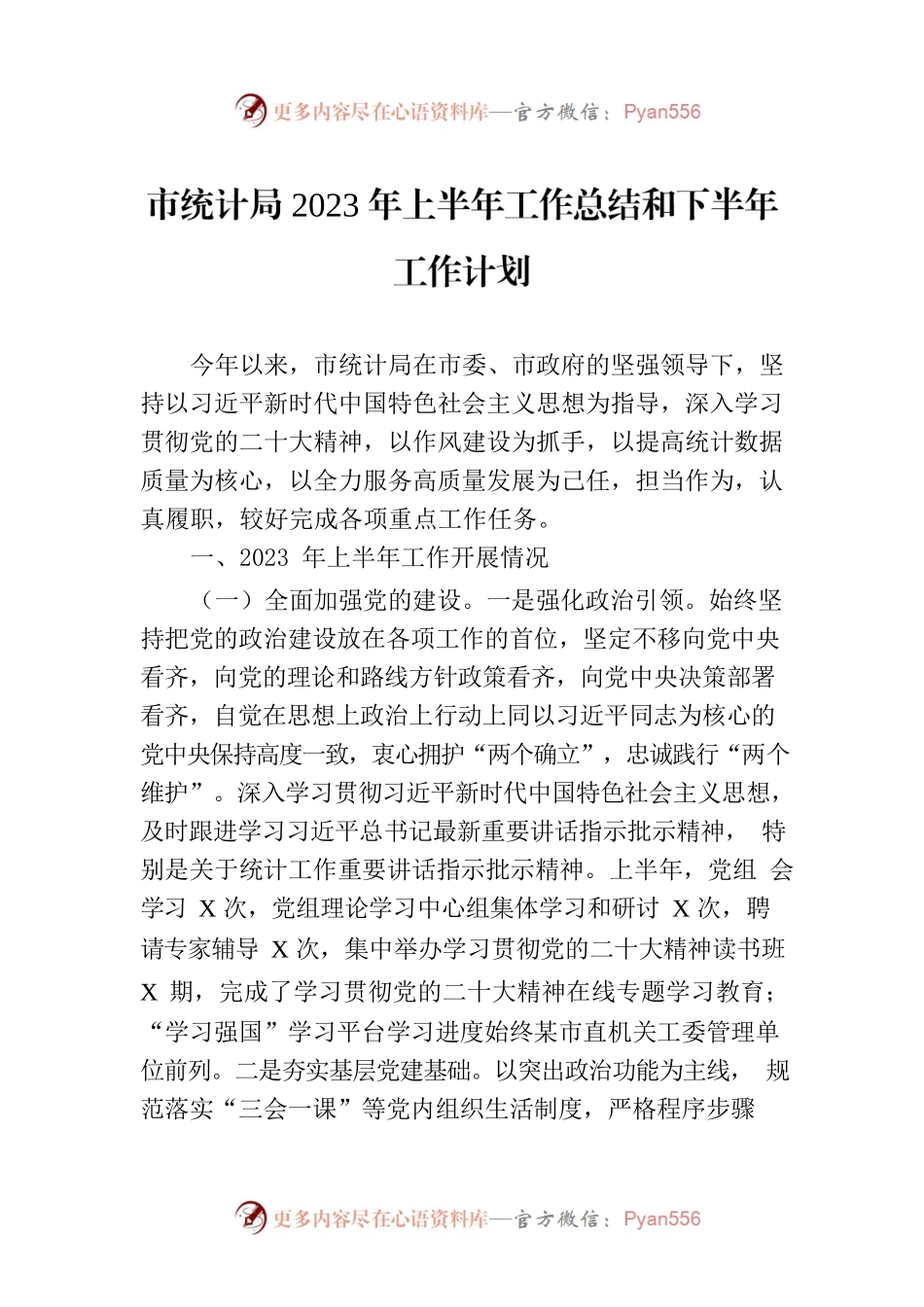市统计局2023年上半年工作总结和下半年工作计划（20230808）.docx_第1页
