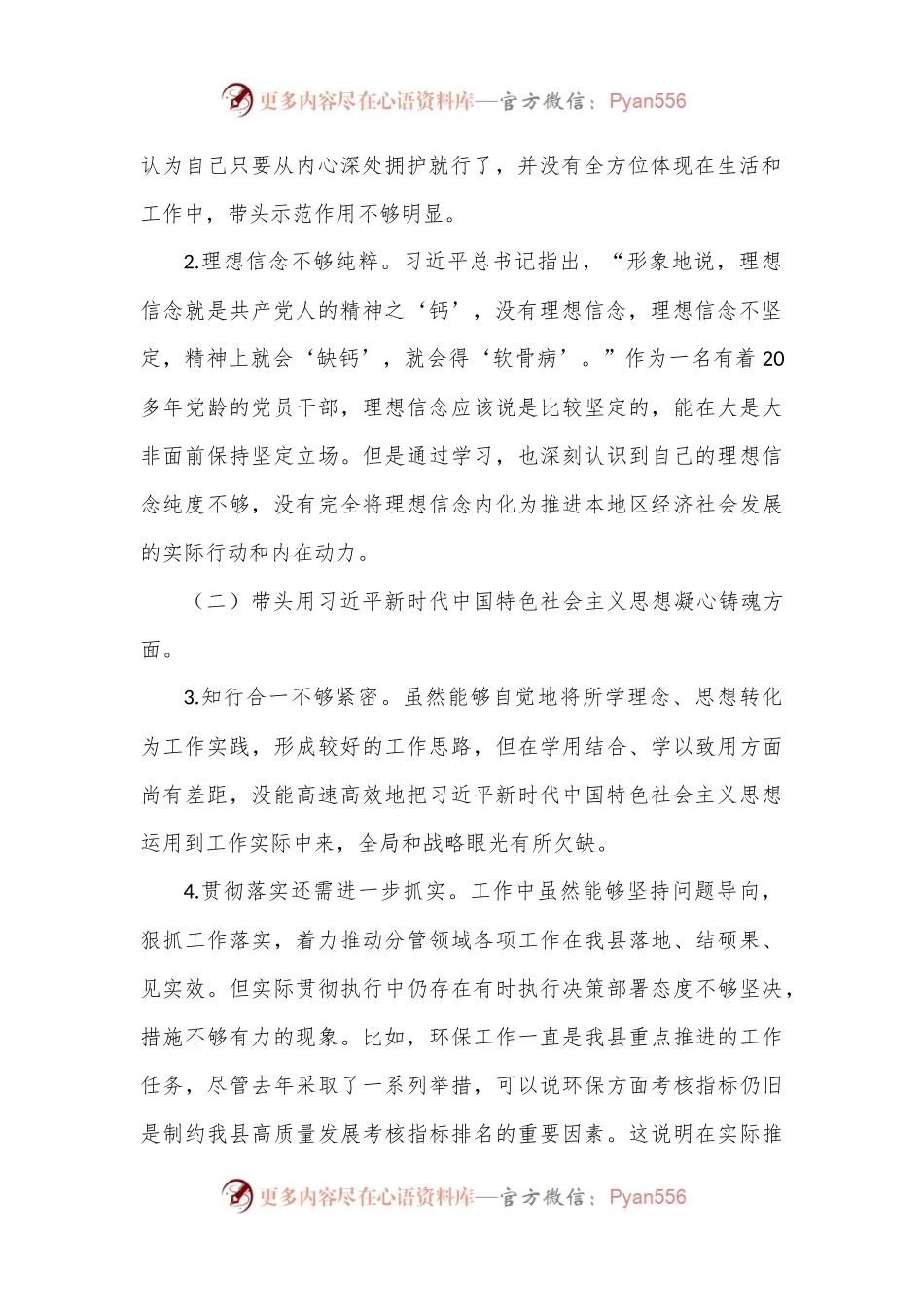 政府副县长2022年度民主生活会发言提纲.docx_第2页