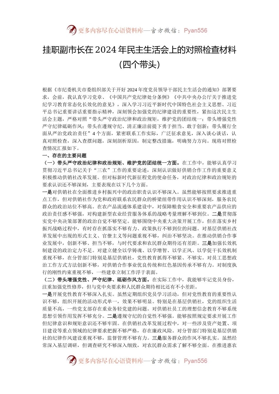挂职副市长在2024年民主生活会上的对照检查材料（四个带头）.docx_第1页