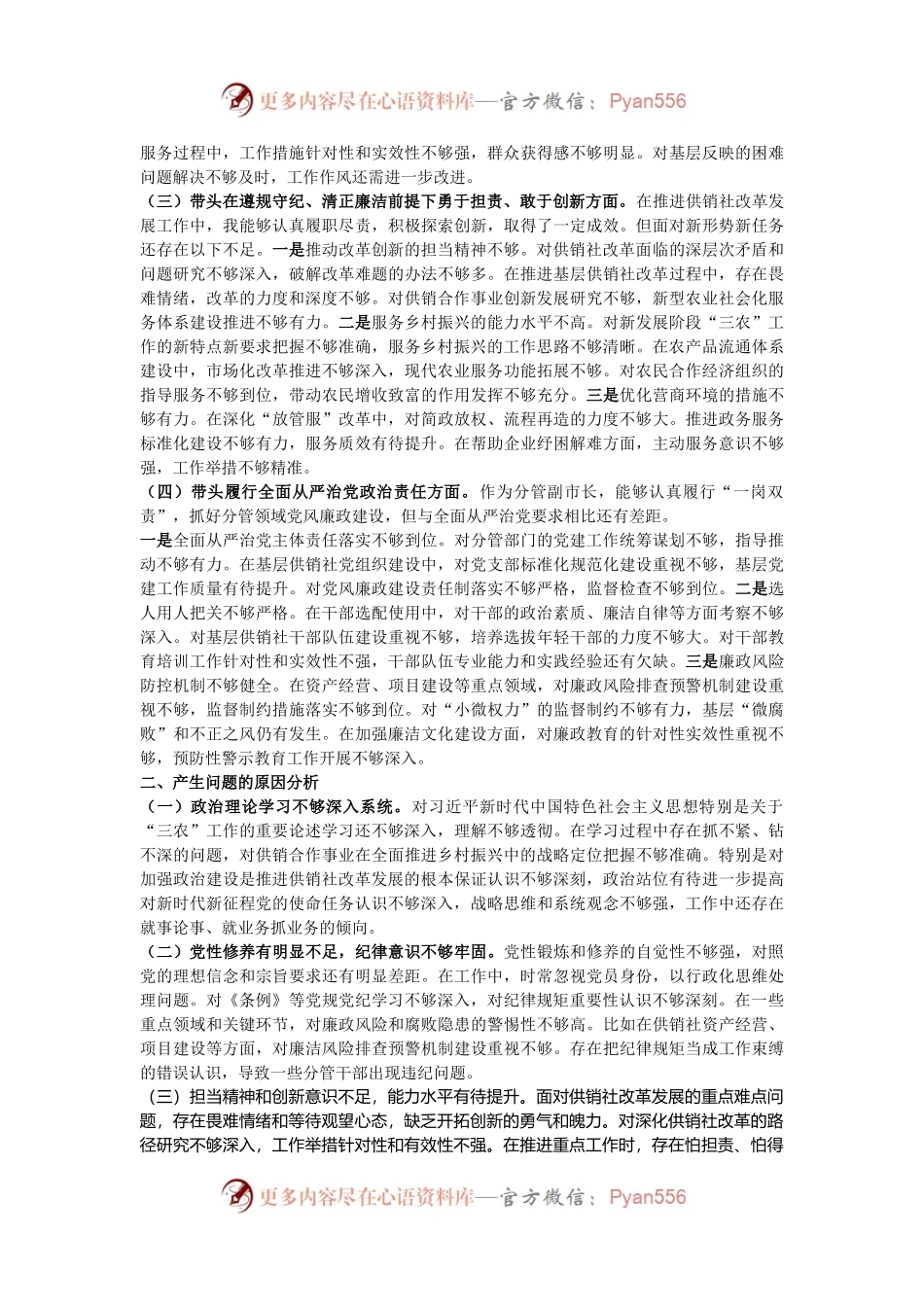 挂职副市长在2024年民主生活会上的对照检查材料（四个带头）.docx_第2页