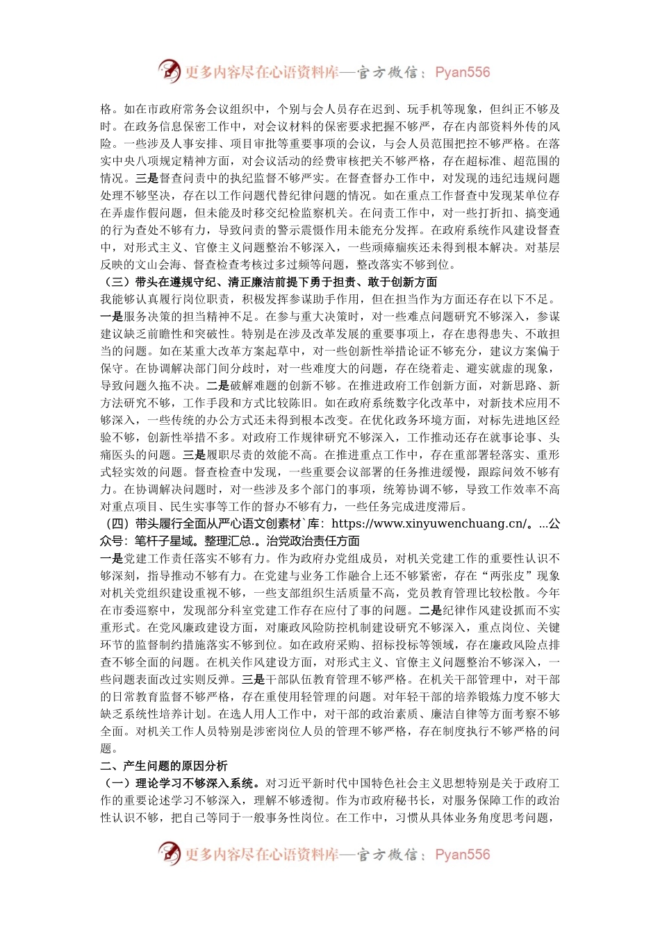 市政府秘书长在2024年民主生活会上的对照检查材料（四个带头）.docx_第2页