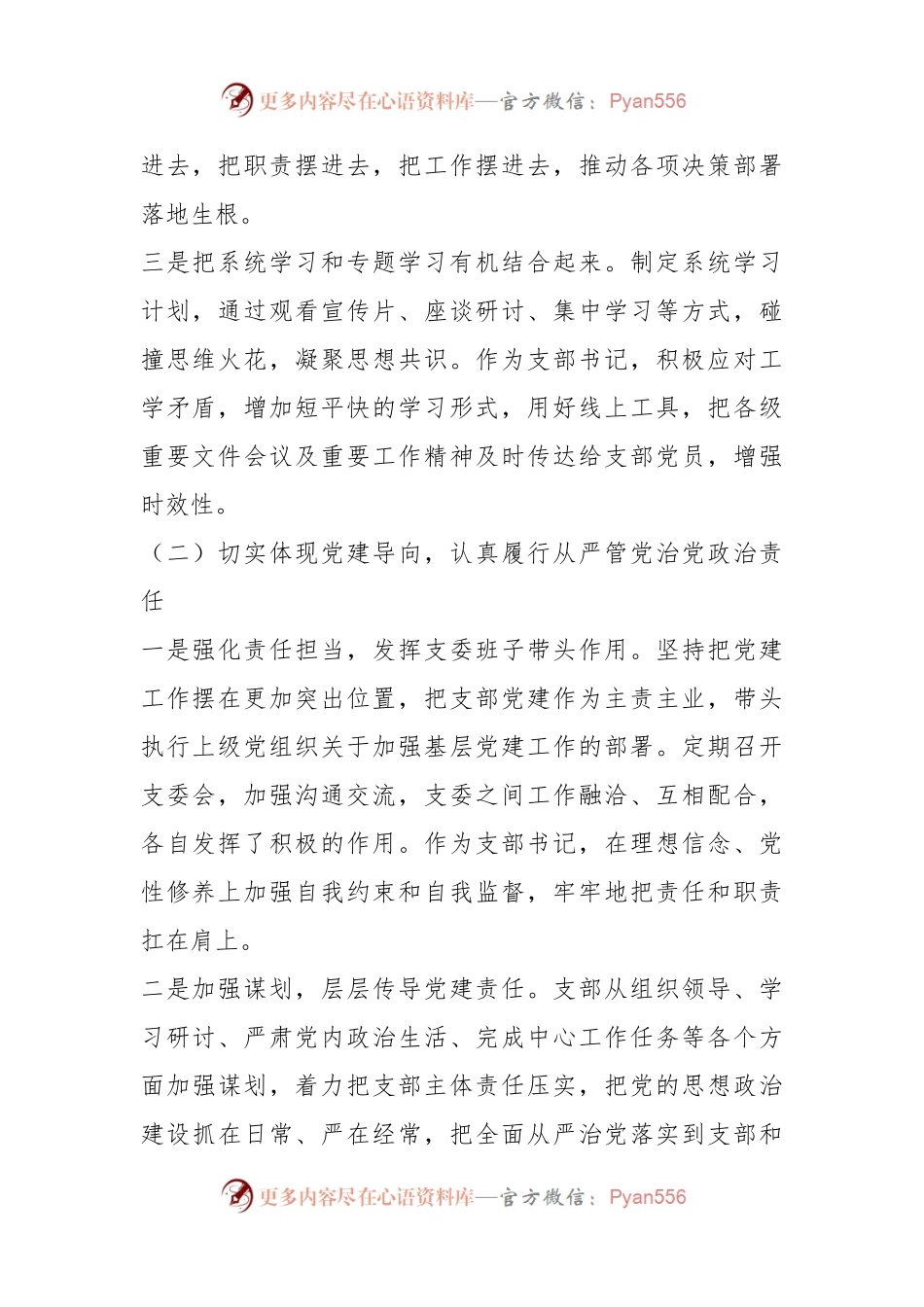 支部书记党建述职.docx_第2页