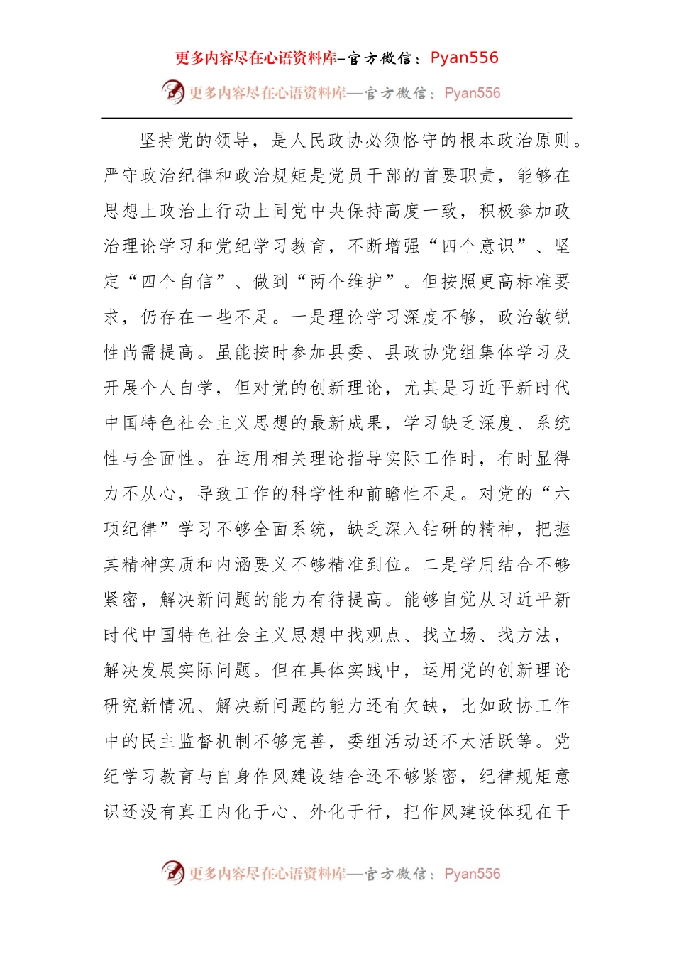政协副主席2024年度民主生活会“四个带头”个人对照检查材料（4651字）.docx_第2页
