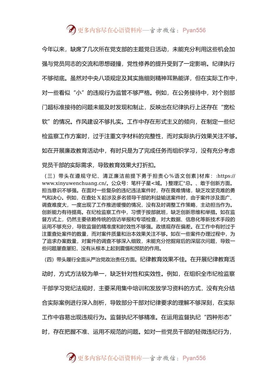 市纪委书记2024年度民主生活会对照检视发言材料（四个带头+反面案例）.docx_第2页
