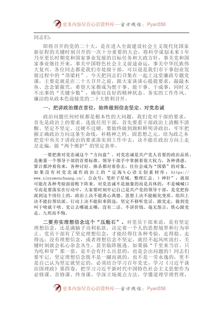 廉政党课：发挥头雁带头作用，擦亮廉洁从政本色.docx_第1页