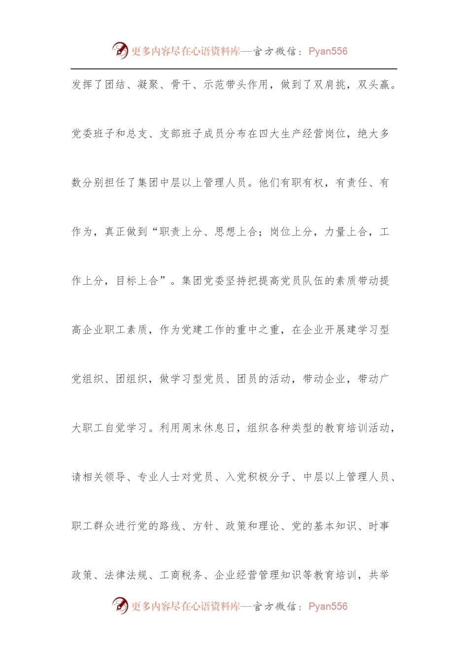 市重点民营企业先进党委申报材料.docx_第2页